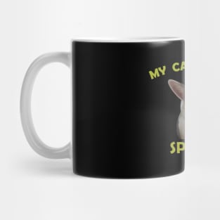 My cats name is spleens Mug